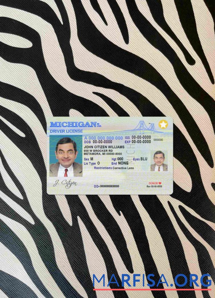 Downloadable USA Michigan DL photolook download for verification